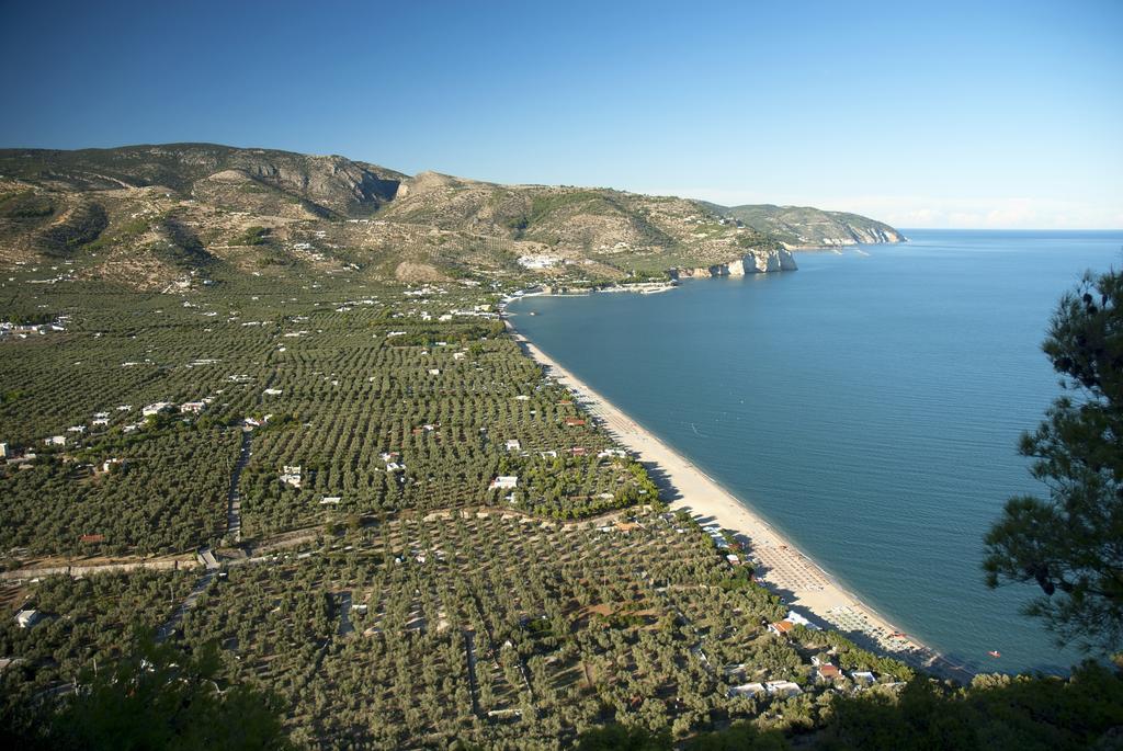 Apeneste Hotel 3*